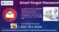 What does Gmail Forgot Password 1-850-361-8504 mean? PowerPoint PPT Presentation