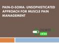 Get Relief From Severe Muscle Pain With Pain O Soma PowerPoint PPT Presentation