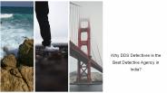 Private Investigators Detectives Delhi