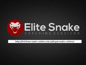 Logan Snake Catcher & Removal Service