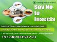 Hurry Up Get 20% Discount Pest Control in Delhi | South Delhi