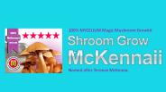 100% MYCELIUM Magic Mushroom Growkit McKennaii