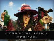 7 interesting facts about Dubai miracle garden