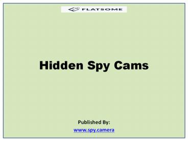 Hidden Spy Cams (1)
