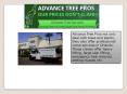 Tree removal services orlando -Advance Tree Pros PowerPoint PPT Presentation