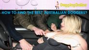 How to find the best Australian Doggers