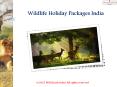 Wildlife Holiday Packages India PowerPoint PPT Presentation