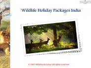 Wildlife Holiday Packages India