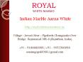 Indian Marble Aarna White PowerPoint PPT Presentation