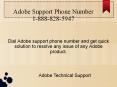 Adobe Support Phone Number PowerPoint PPT Presentation