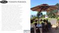 Poggesi Outdoor Umbrella PowerPoint PPT Presentation