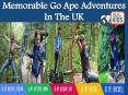Go Ape Adventures PowerPoint PPT Presentation