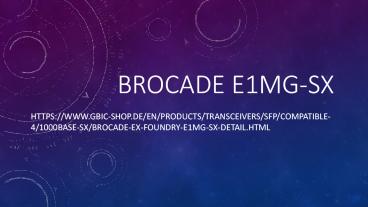 brocade e1mg-sx