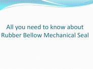 know about Rubber Bellow Mechanical Seal