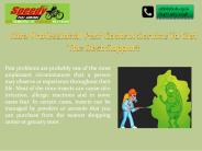 Hire Professional Pest Control Service To Get The Best Support