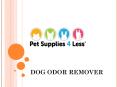 Dog Odor Remover PowerPoint PPT Presentation