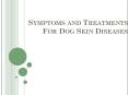 Symptoms and Treatments for Dog Skin Diseases PowerPoint PPT Presentation