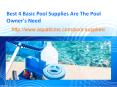 Best 4 Basic Pool Supplies Are The Pool Owner's Need PowerPoint PPT Presentation