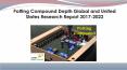 Global and United States Potting Compound Depth Research Report 2017-2022 PowerPoint PPT Presentation
