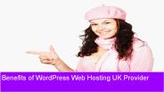 Benefits of WordPress Web Hosting UK Provider