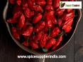 Bhut Jolokia Supplier in Delhi PowerPoint PPT Presentation