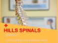 Hills Spinal Health: Spinal Health Chiropractic Care PowerPoint PPT Presentation
