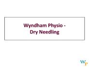 Wyndham Physio - Dry Needling
