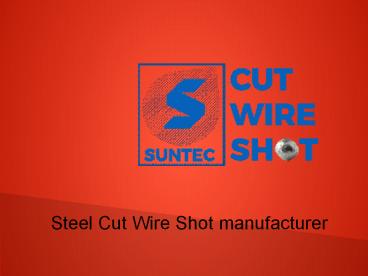 Steel Cut Wire Shot manufacturer