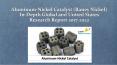 Global and United States Aluminum-Nickel Catalyst (Raney Nickel) In-Depth Research Report 2017-2022 PowerPoint PPT Presentation