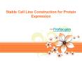 Stable Cell Line Construction for Protein Expression PowerPoint PPT Presentation