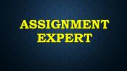 Assignment Experts Service