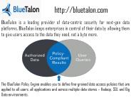 The Best Data Access Solutions of Blutalon
