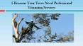 Reasons Your Trees Need Professional Trimming Services PowerPoint PPT Presentation