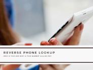 Reverse Phone Lookup (1)