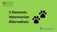 5 Elements Veterinarian Alternatives PowerPoint PPT Presentation