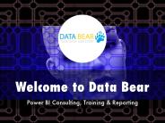 Data Bear Presentation