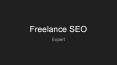 Freelance SEO Expert PowerPoint PPT Presentation