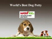 World's Best Dog Potty