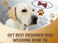 Get Best Designer Dog Wedding Bow Tie PowerPoint PPT Presentation