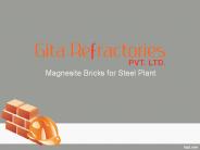 magnesite bricks for steel plant