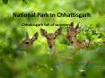 National park  in Chhattisgarh PowerPoint PPT Presentation