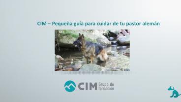 CIM – Pequeña guía para cuidar de tu pastor alemán