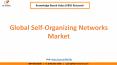 Global Self-Organizing Networks Market Growth PowerPoint PPT Presentation