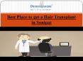 Hair Transplantation in Sonipat PowerPoint PPT Presentation