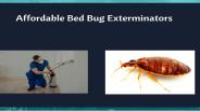 Best Bed Bug Treatment Options