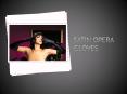 Cassinovas Satin Opera Gloves PowerPoint PPT Presentation