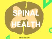 Why is a Chiropractic care important?