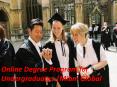 A degree of Online Degree Program for Undergraduates PowerPoint PPT Presentation