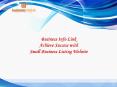 Business Info Link: Achieve Success with Small Business Listing Website PowerPoint PPT Presentation