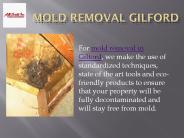 Mold Removal Gilford